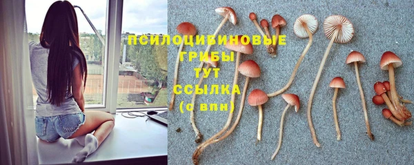 скорость Алексеевка