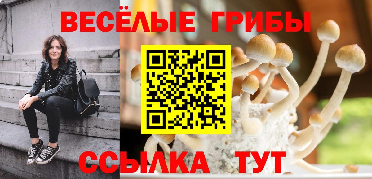 Псилоцибиновые грибы Cubensis  Вход с VPN  Еманжелинск 